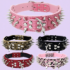 1762853234.png Anti-Bite Rivet Dog Collar Rope