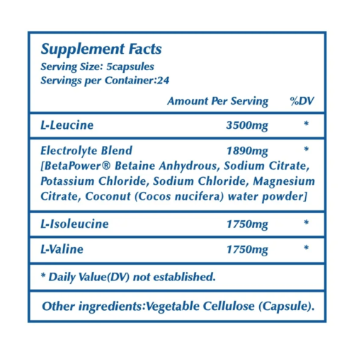 Sport BCAA Supplement – Branched Chain Amino Acids Capsules