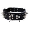 4072204320_1812999753.jpg Anti-Bite Rivet Dog Collar Rope
