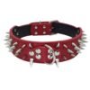 4075236242_1812999753.jpg Anti-Bite Rivet Dog Collar Rope