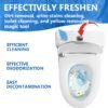 Toilet Effervescent Tablet