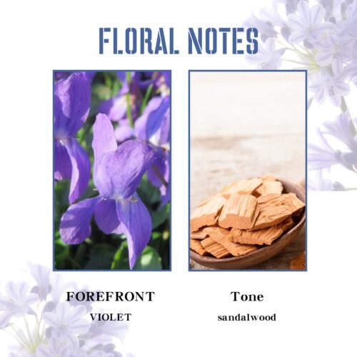 D9DBBF070810ABB7661B7127851DB5F8.jpg Violet Perfume Spray